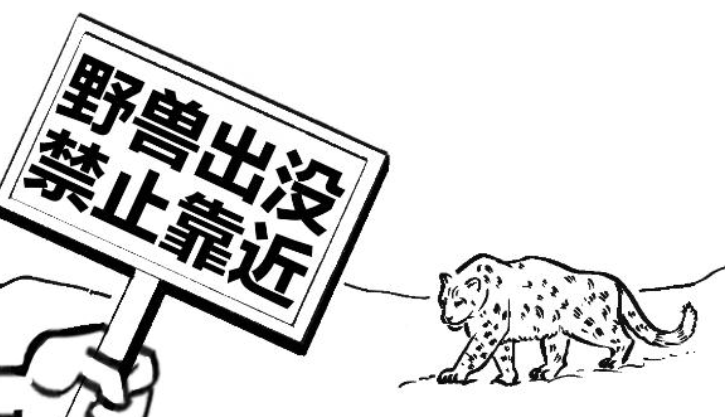 千笔楼丨面对野生动物，不越界是尊重更是安全