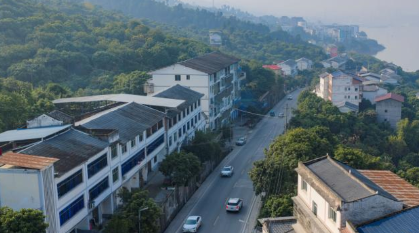 新春走基层&middot;十村十年看长江之变丨重庆长江村：水清岸绿，村美人安