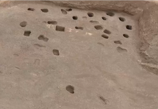 新疆库车发现唐代安西都护府副都护尹公墓