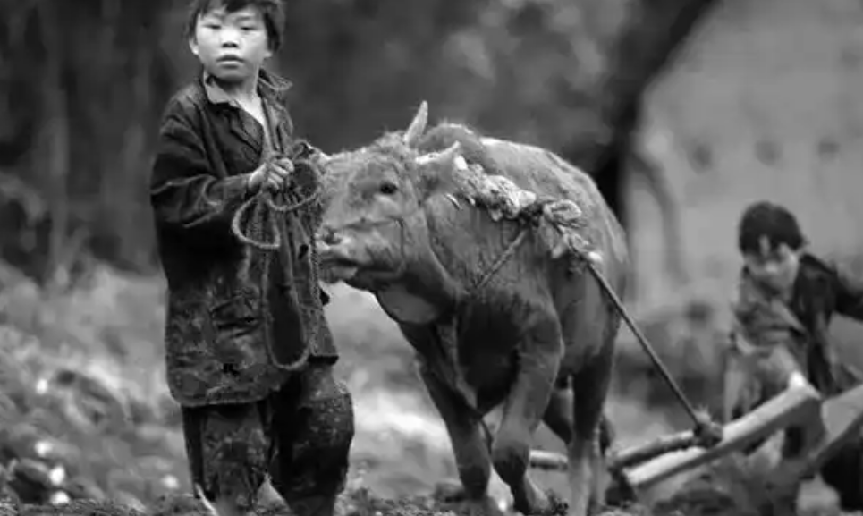 王法明：贫穷，永远不值得赞美！